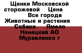 Щенки Московской сторожевой  › Цена ­ 25 000 - Все города Животные и растения » Собаки   . Ямало-Ненецкий АО,Муравленко г.